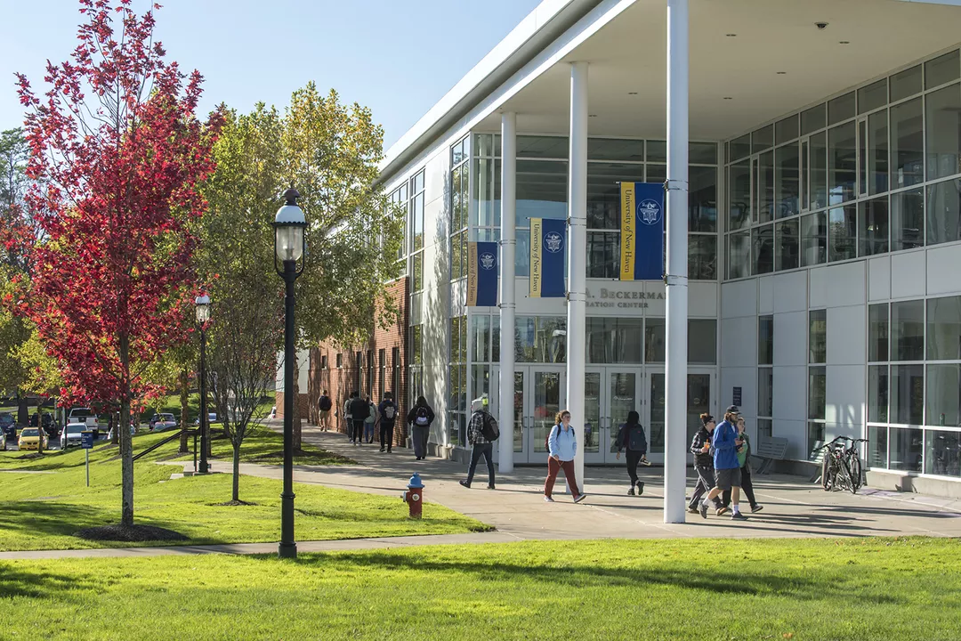 Study in USA at University of New Haven 