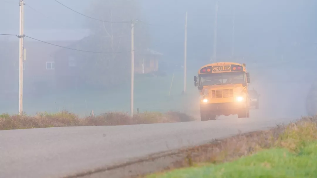 Windsor Essex Catholic District School Board (WECDSB) - Elementary and High Schools photo