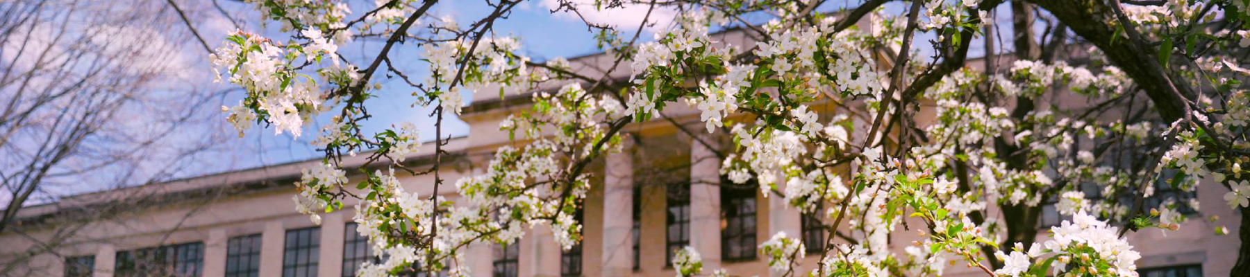 Kent State University - Kent campus