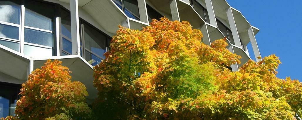 Northeastern Illinois University campus