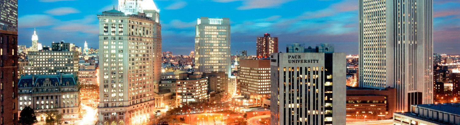Pace University (in partnership with Kaplan International) - New York City campus