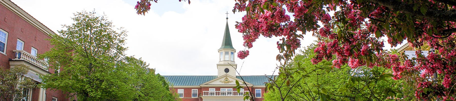 St. Thomas University (CAN) campus