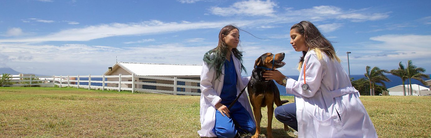 Ross University School of Veterinary Medicine campus