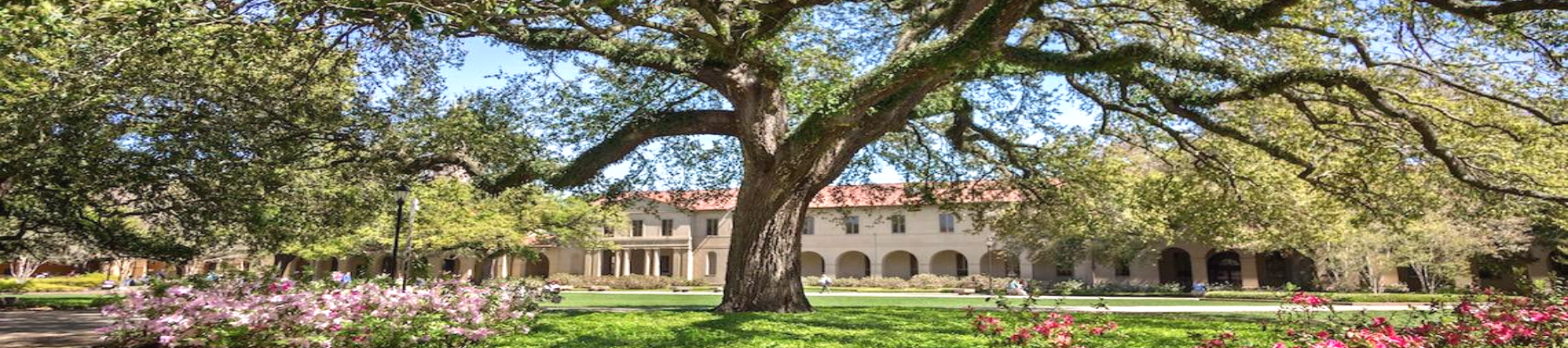 Louisiana State University campus