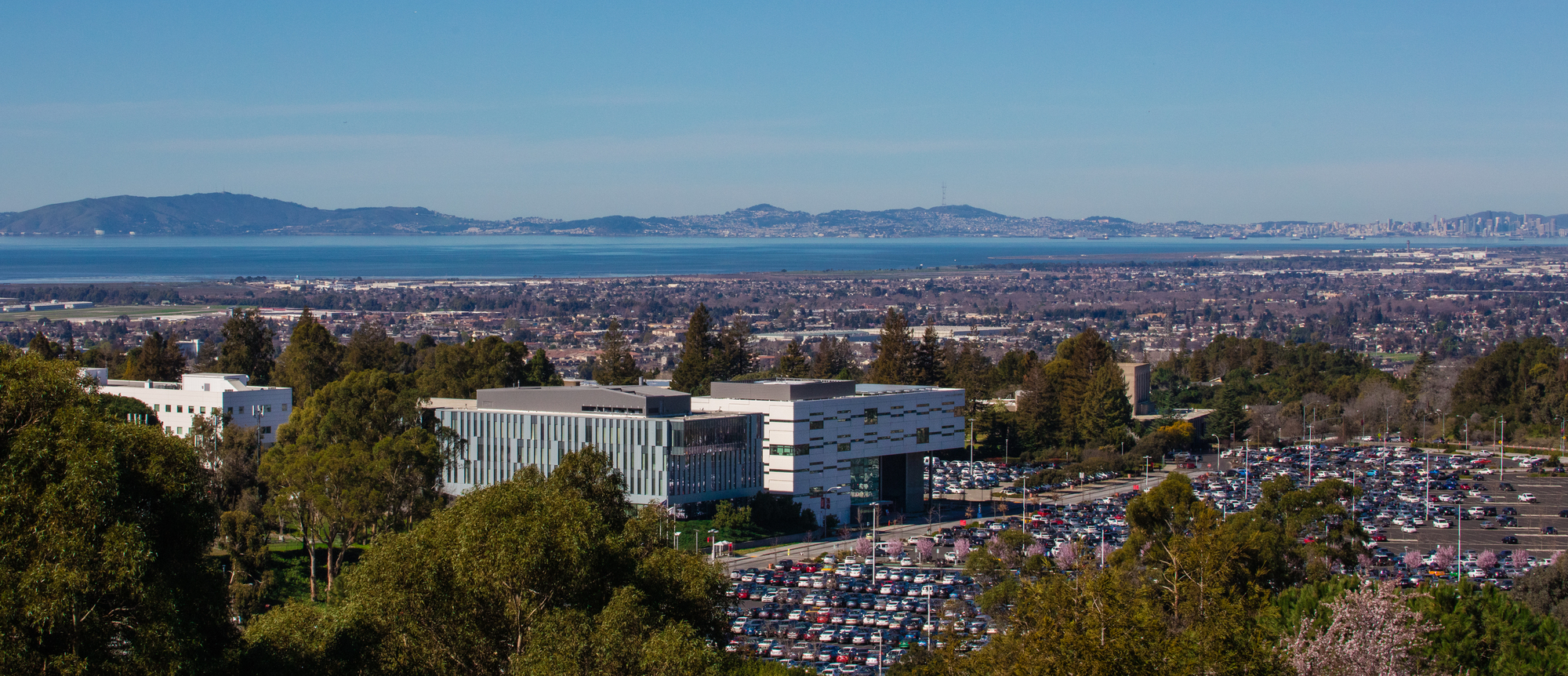 California State University, East Bay campus